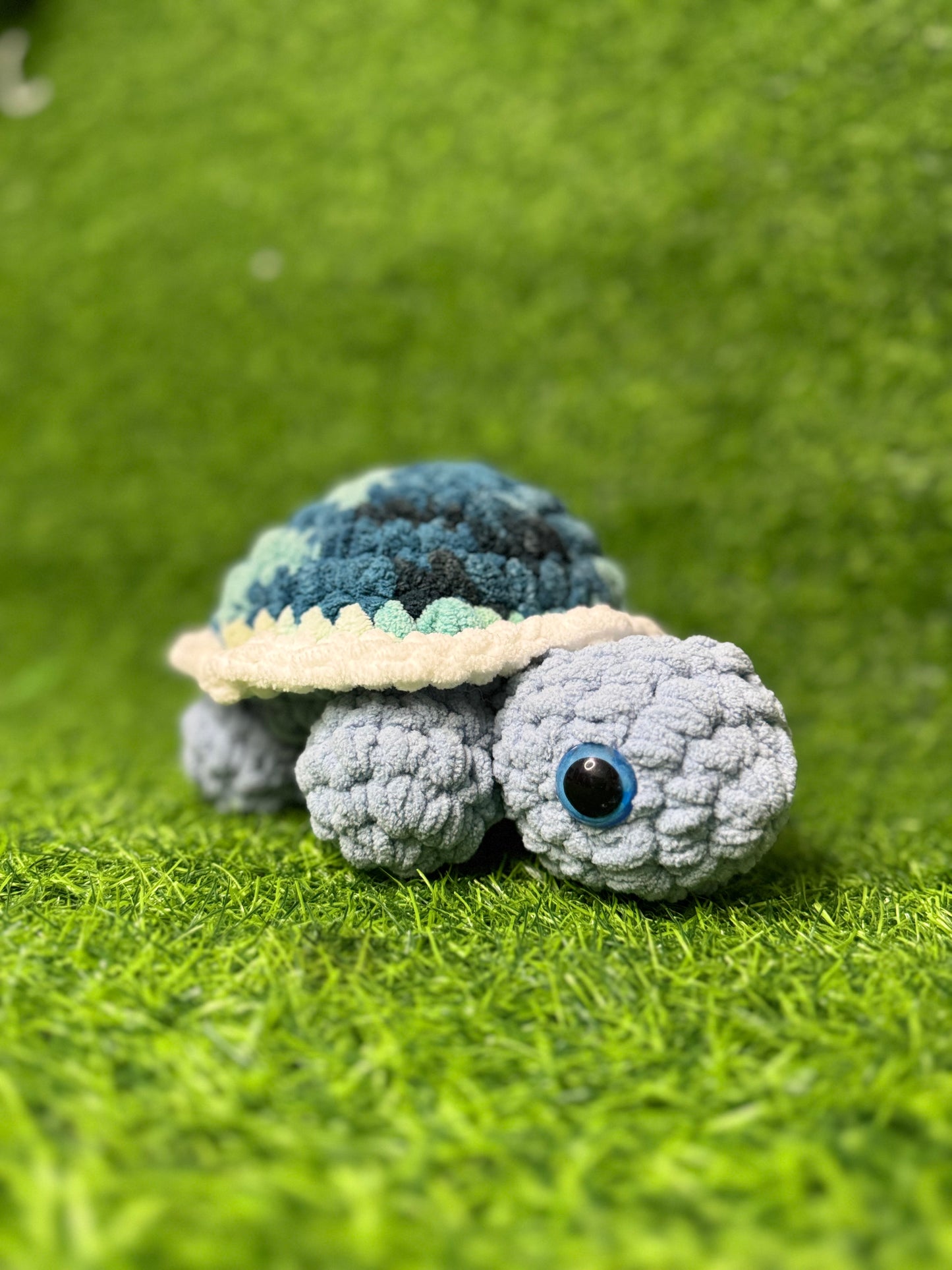 Tortuga de tierra Small