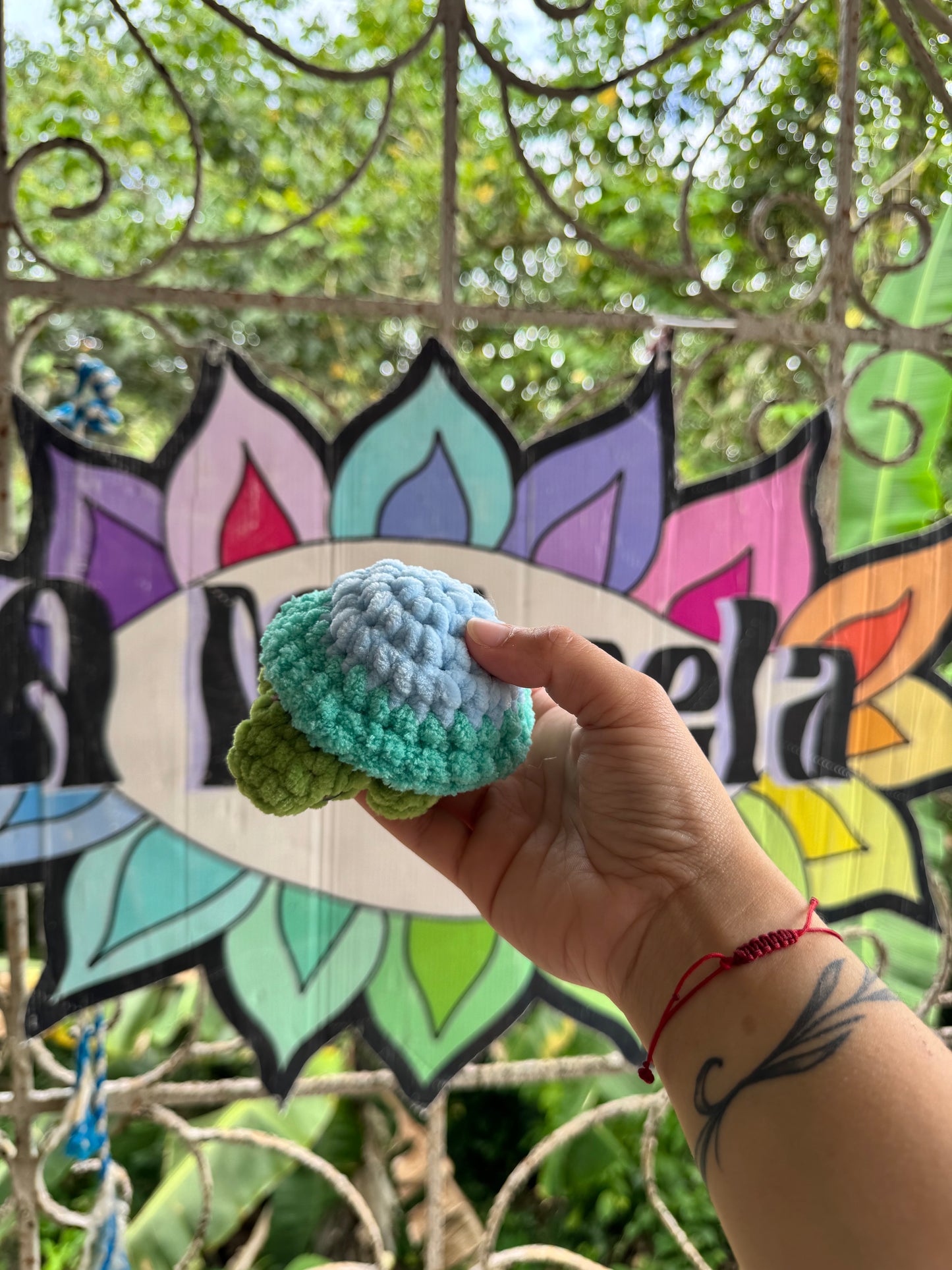 Tortuga de tierra Xs