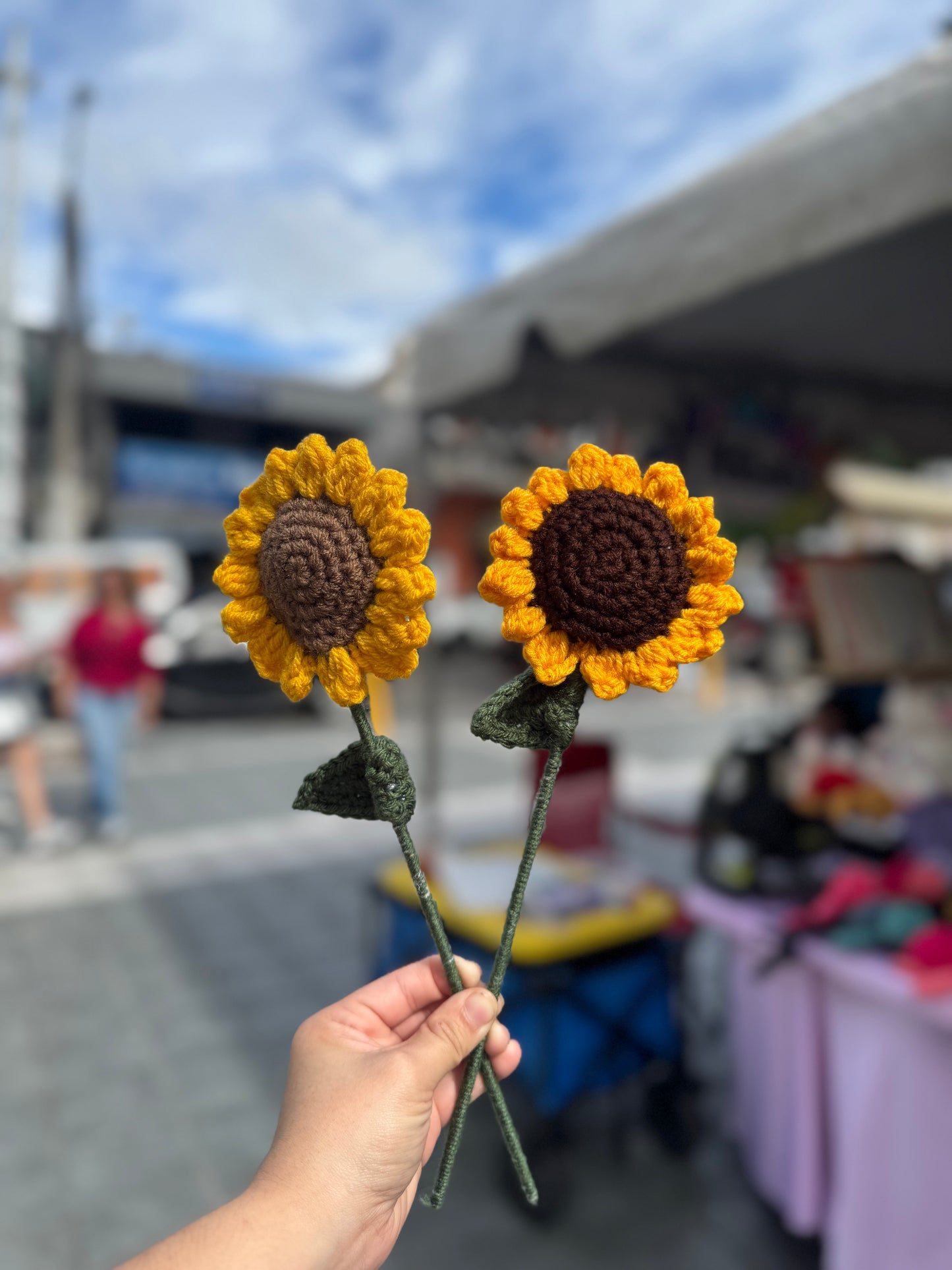 Girasol