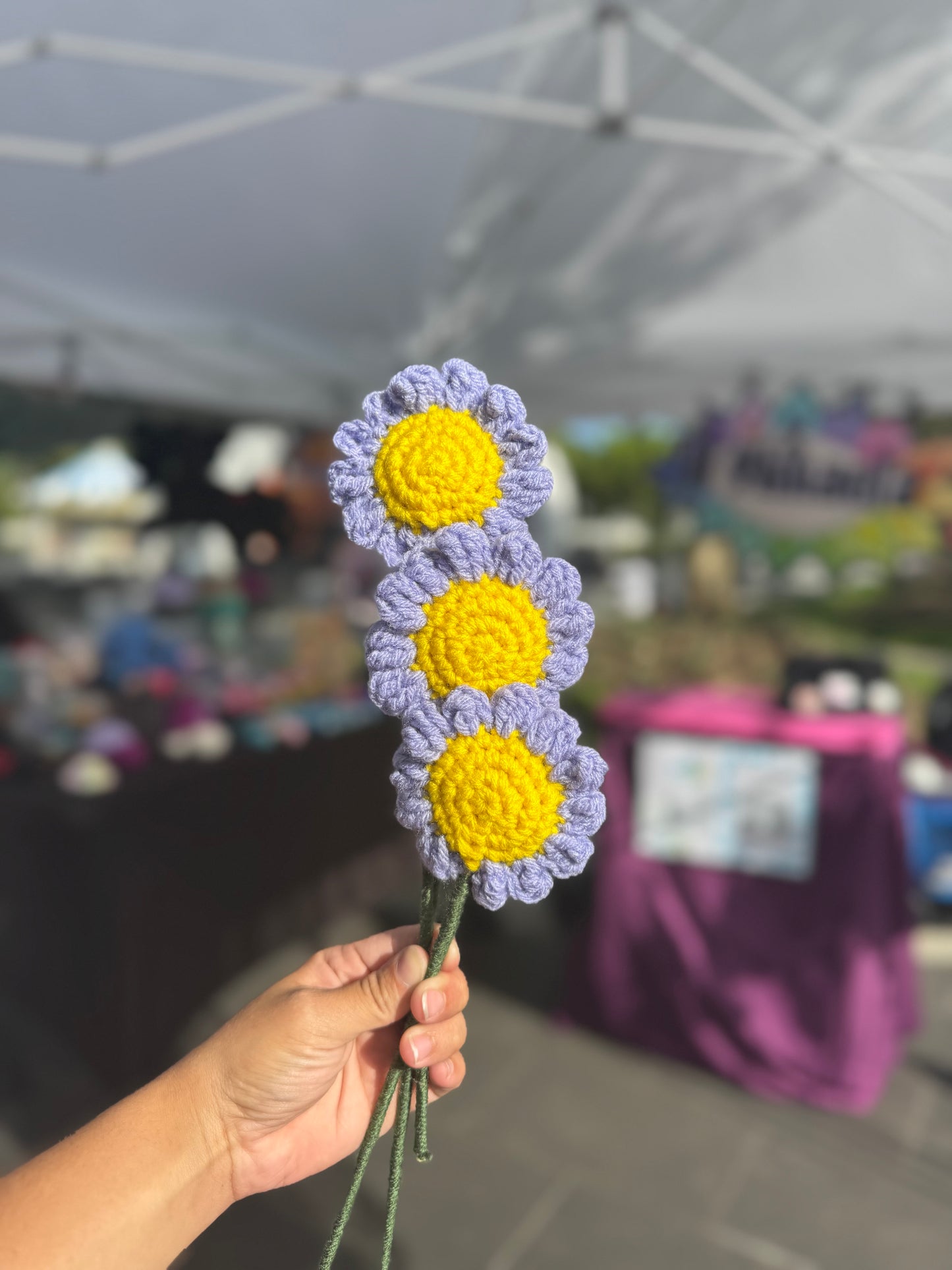 Daisy