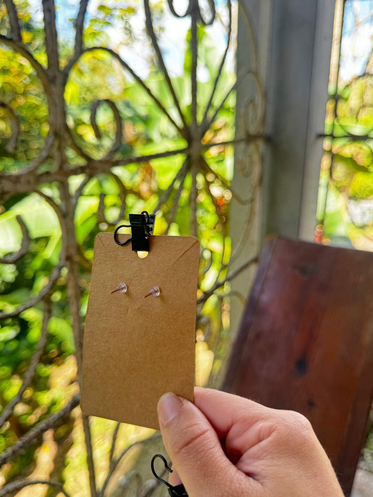 Stainless steel earrings