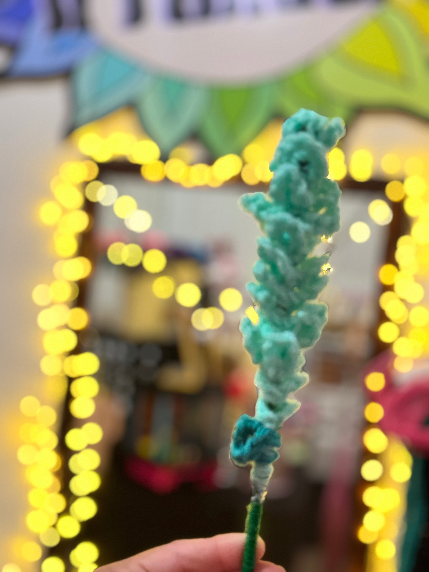 Lavanda