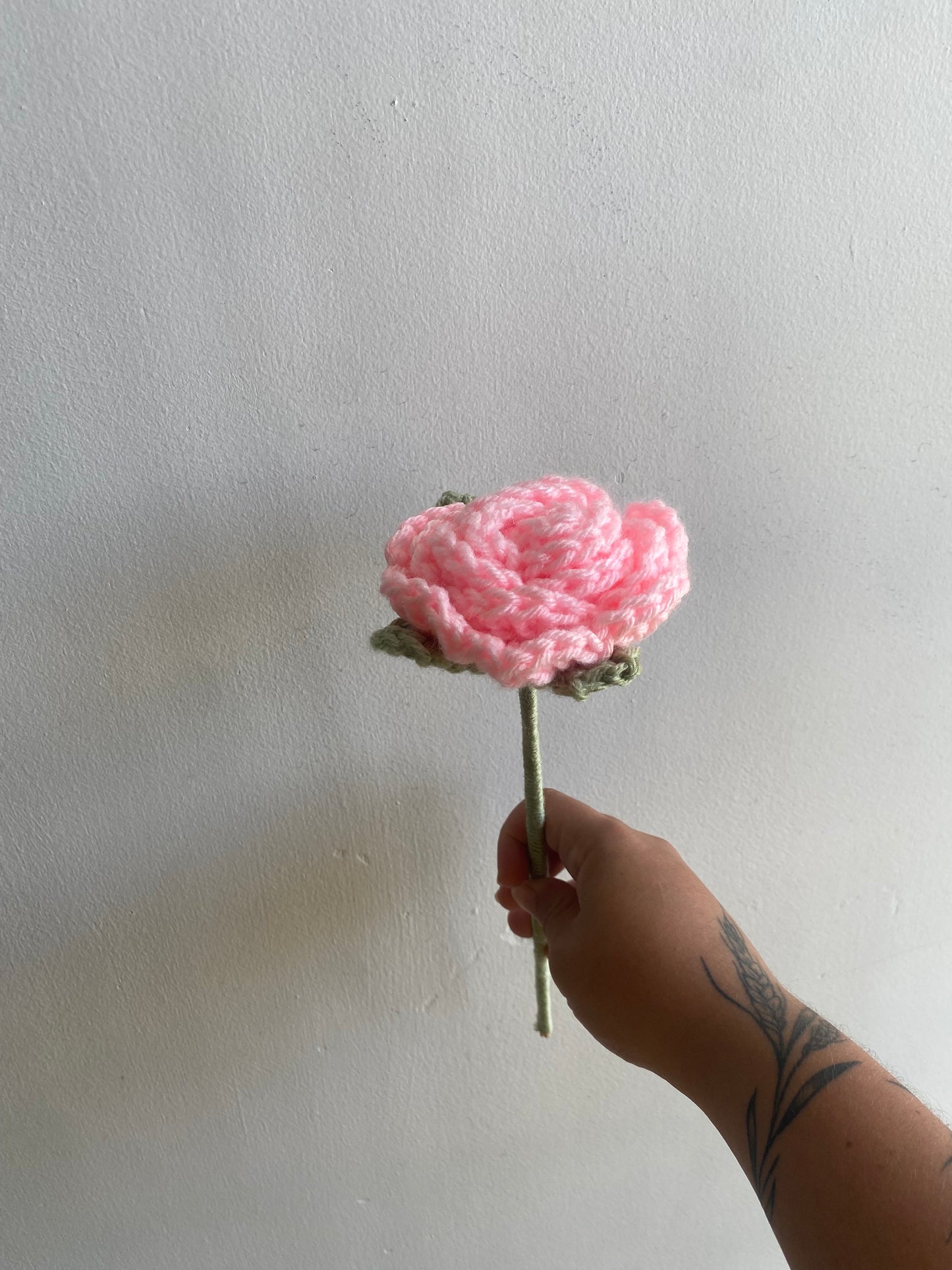 Rosas
