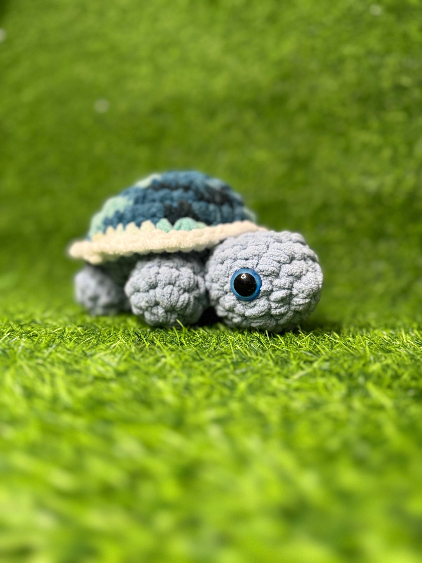 Tortuga de tierra Small