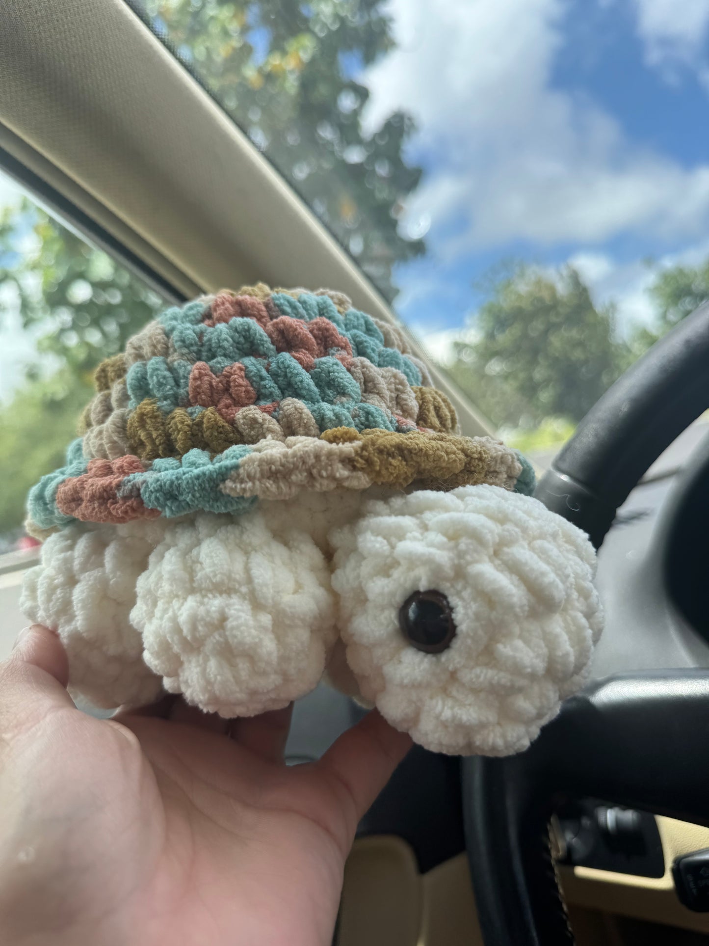 Tortuga de tierra