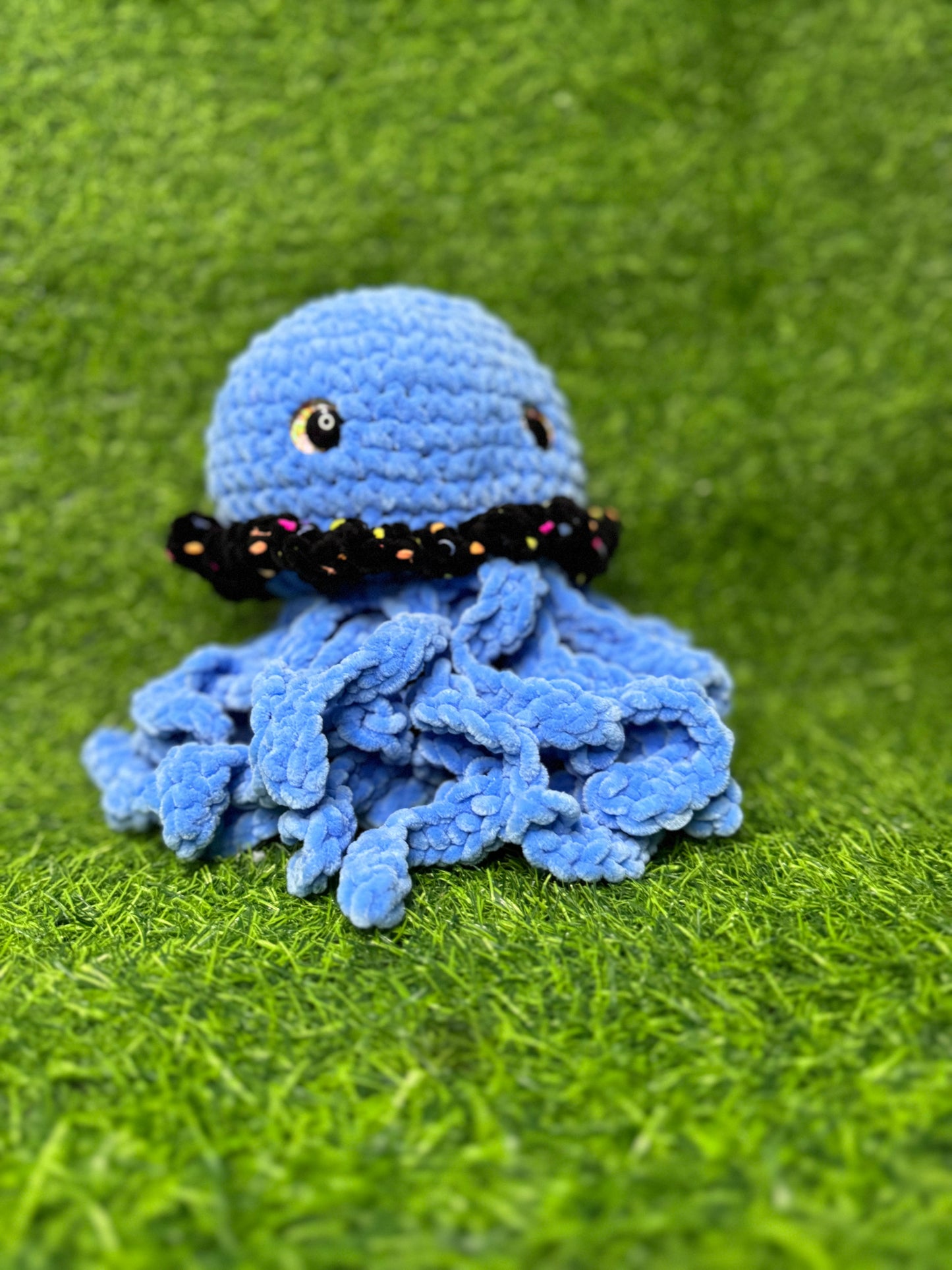 Jellyfish