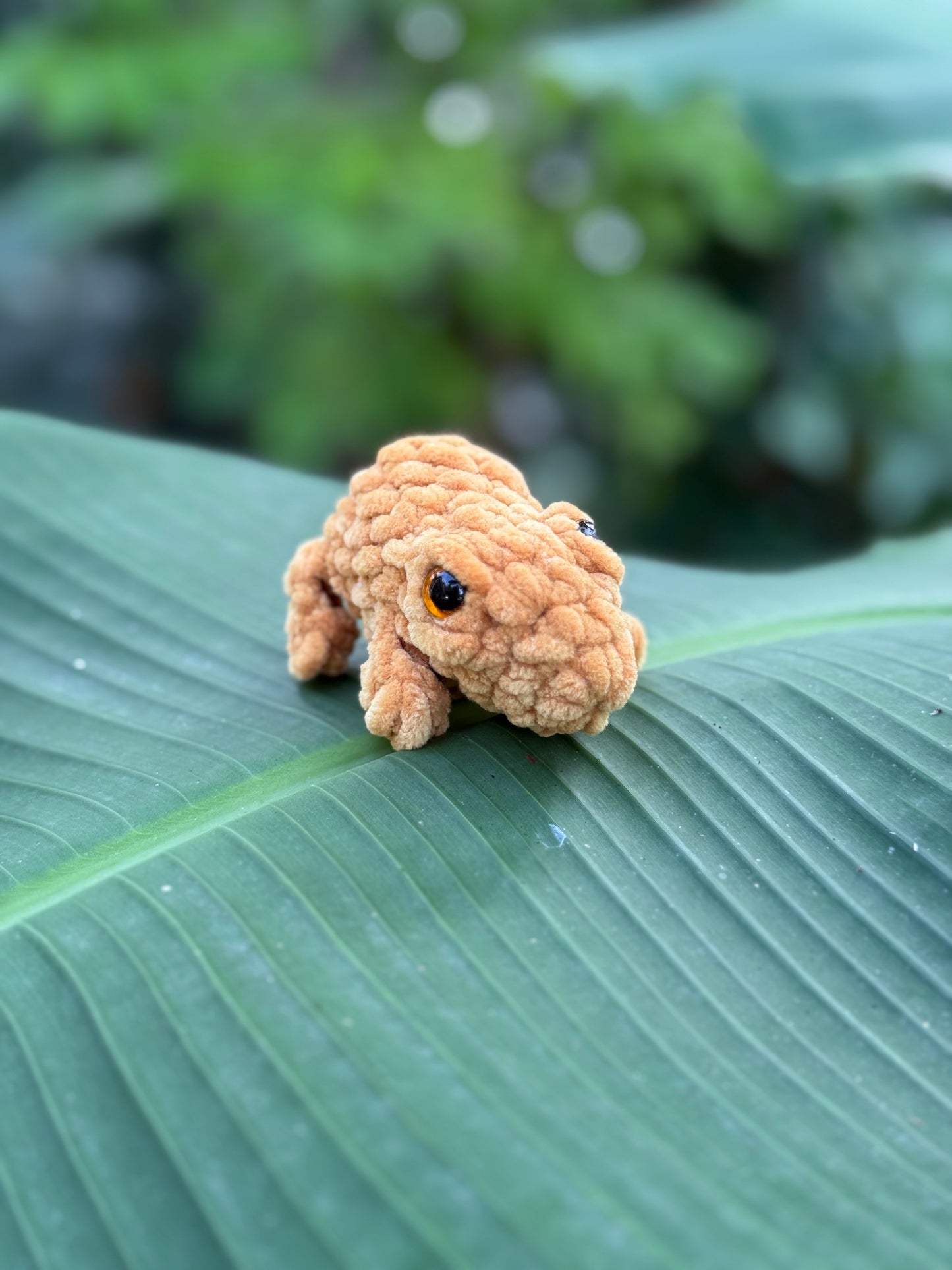 Coqui