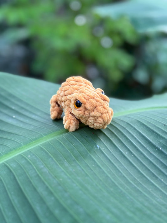 Coqui