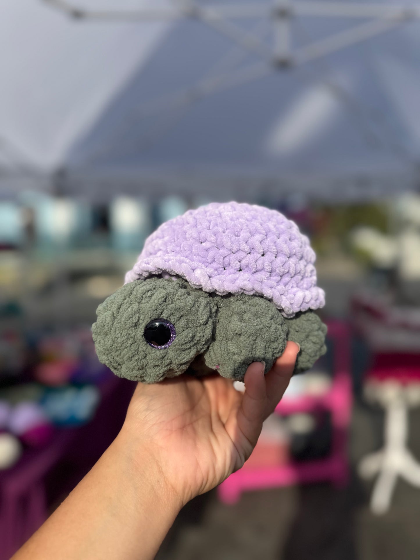 Tortuga de tierra