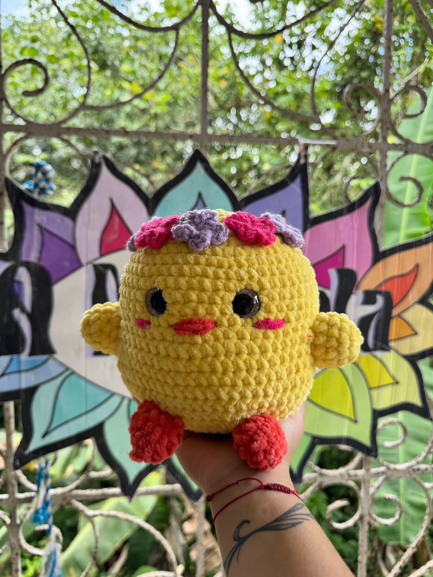 Chubby pollito
