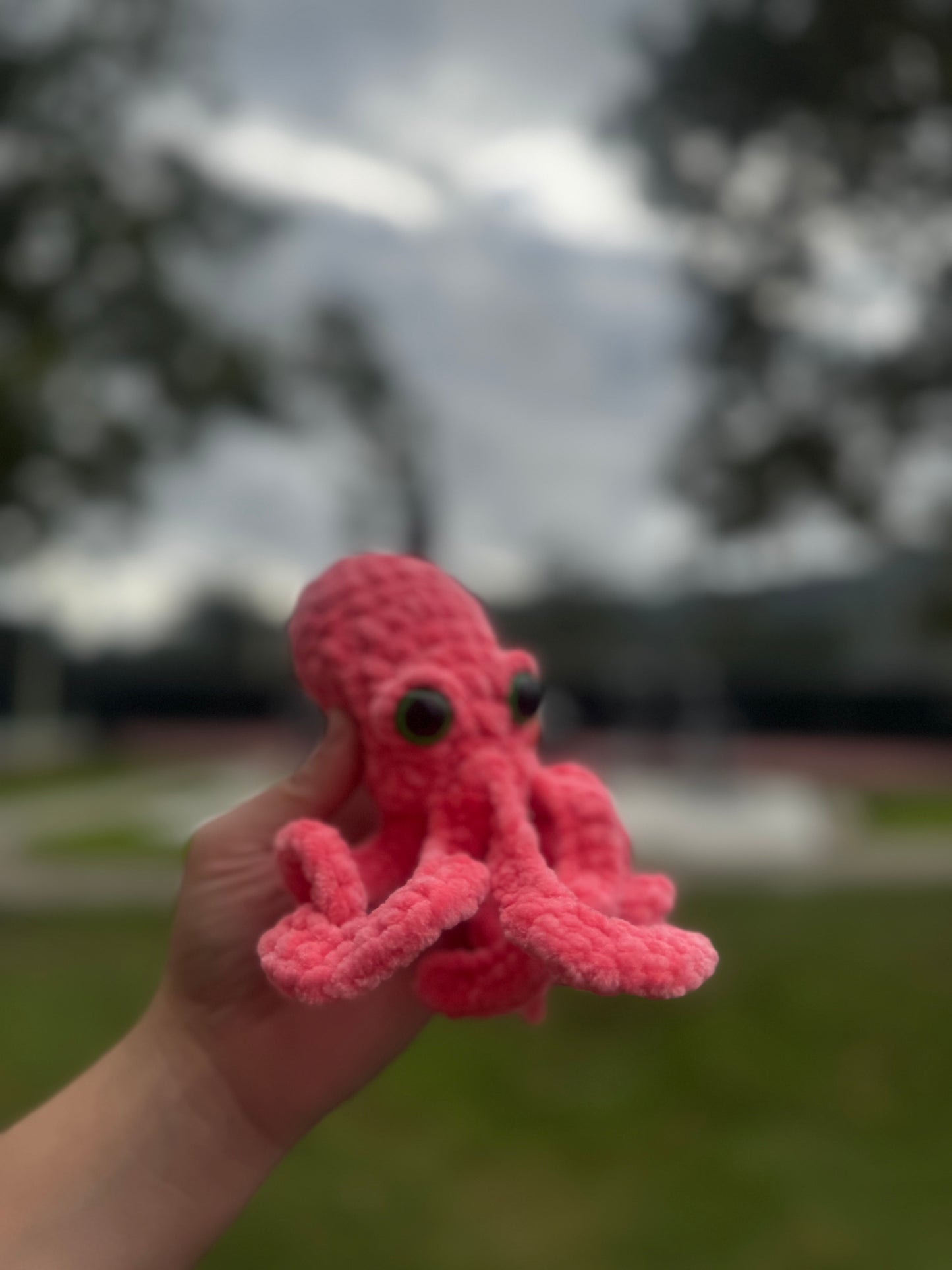 Pulpo