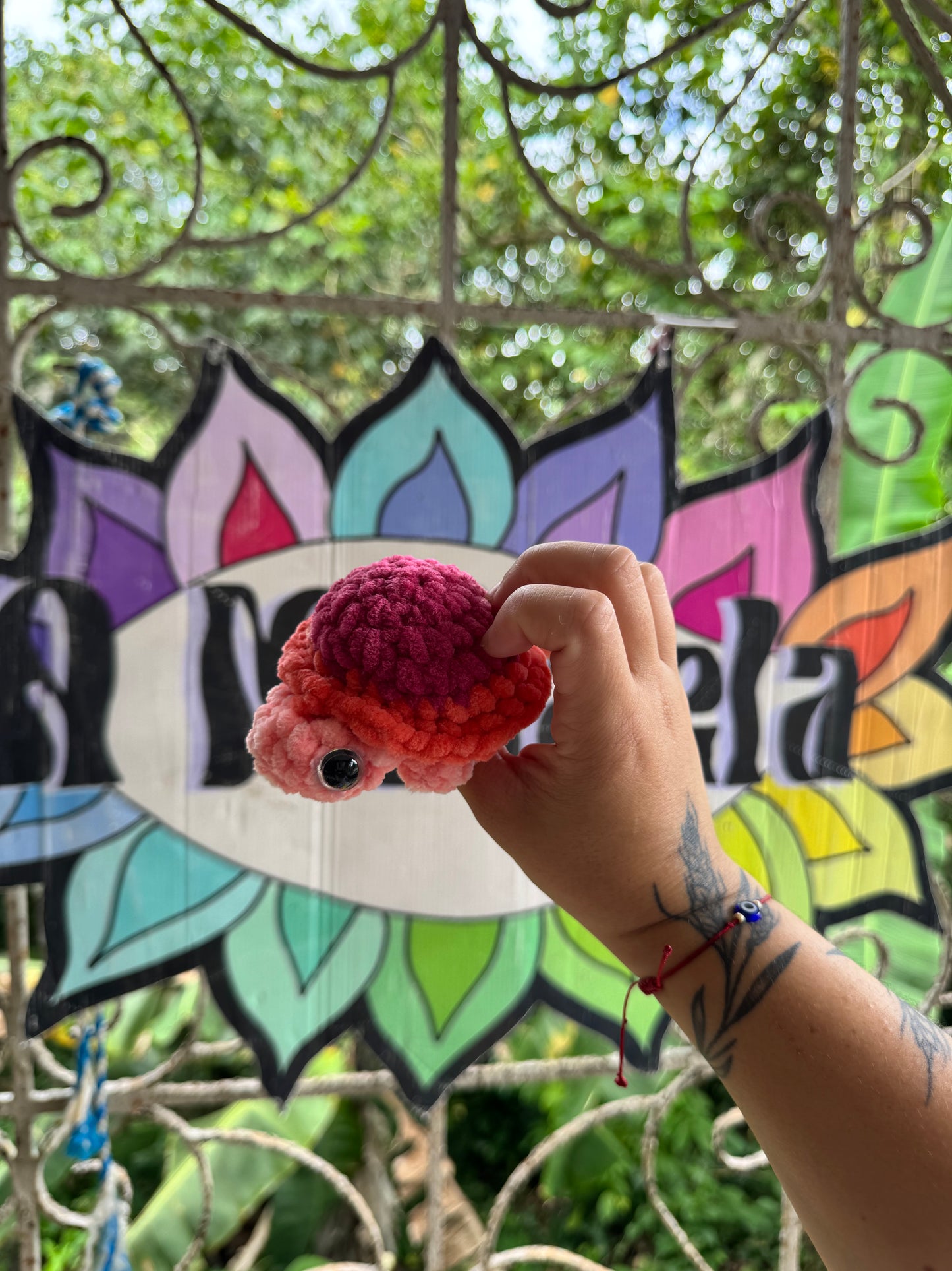 Tortuga de tierra Xs