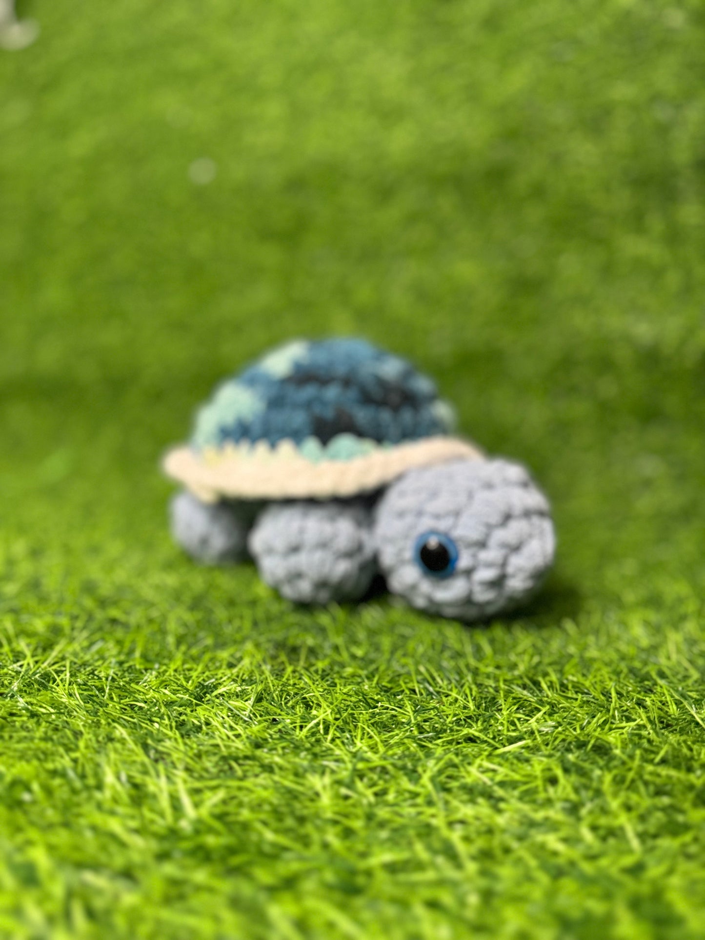 Tortuga de tierra Small