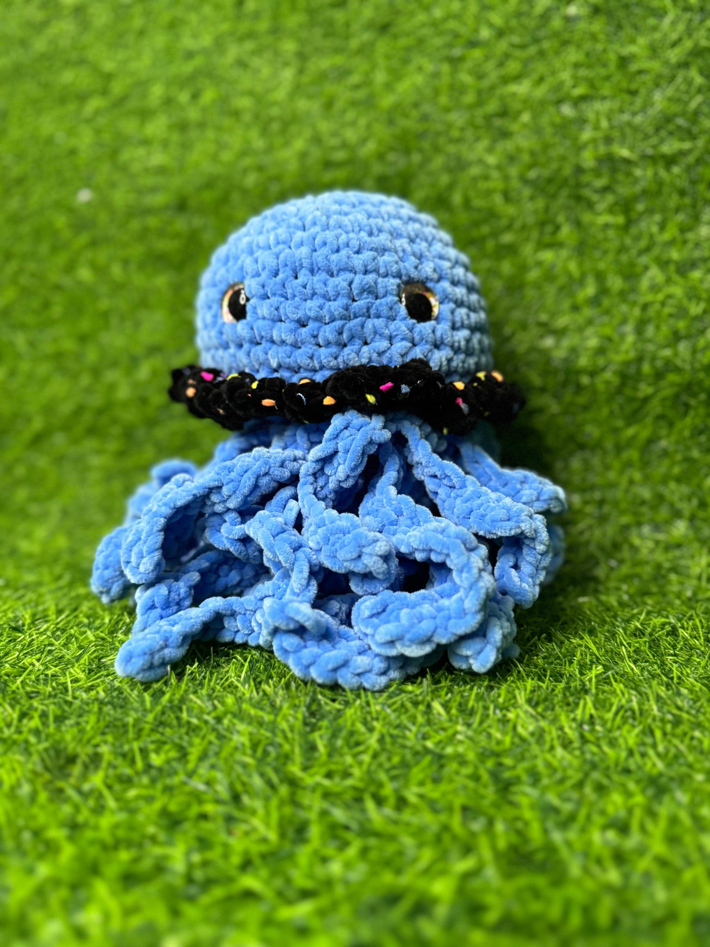 Jellyfish