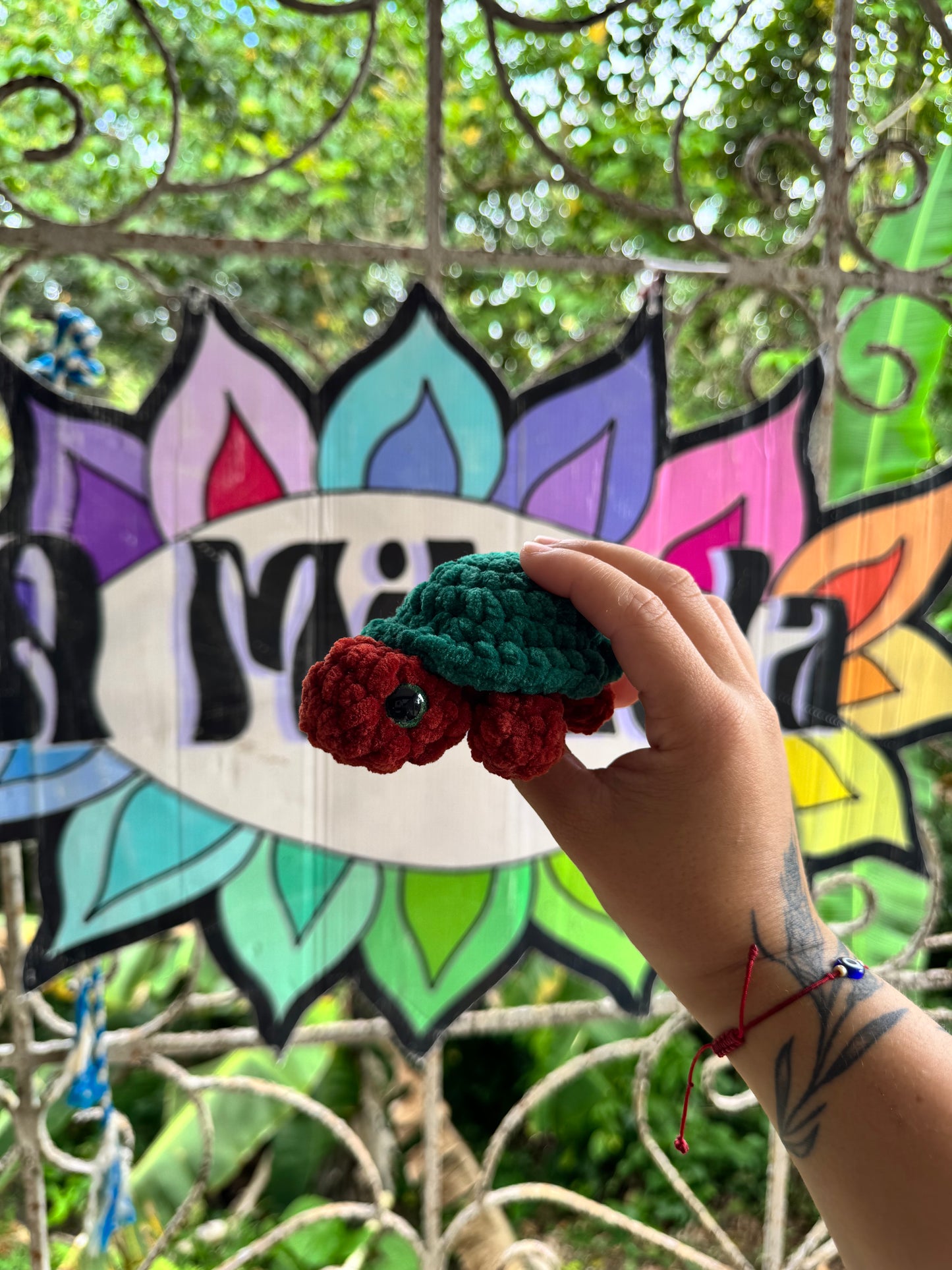 Tortuga de tierra Xs