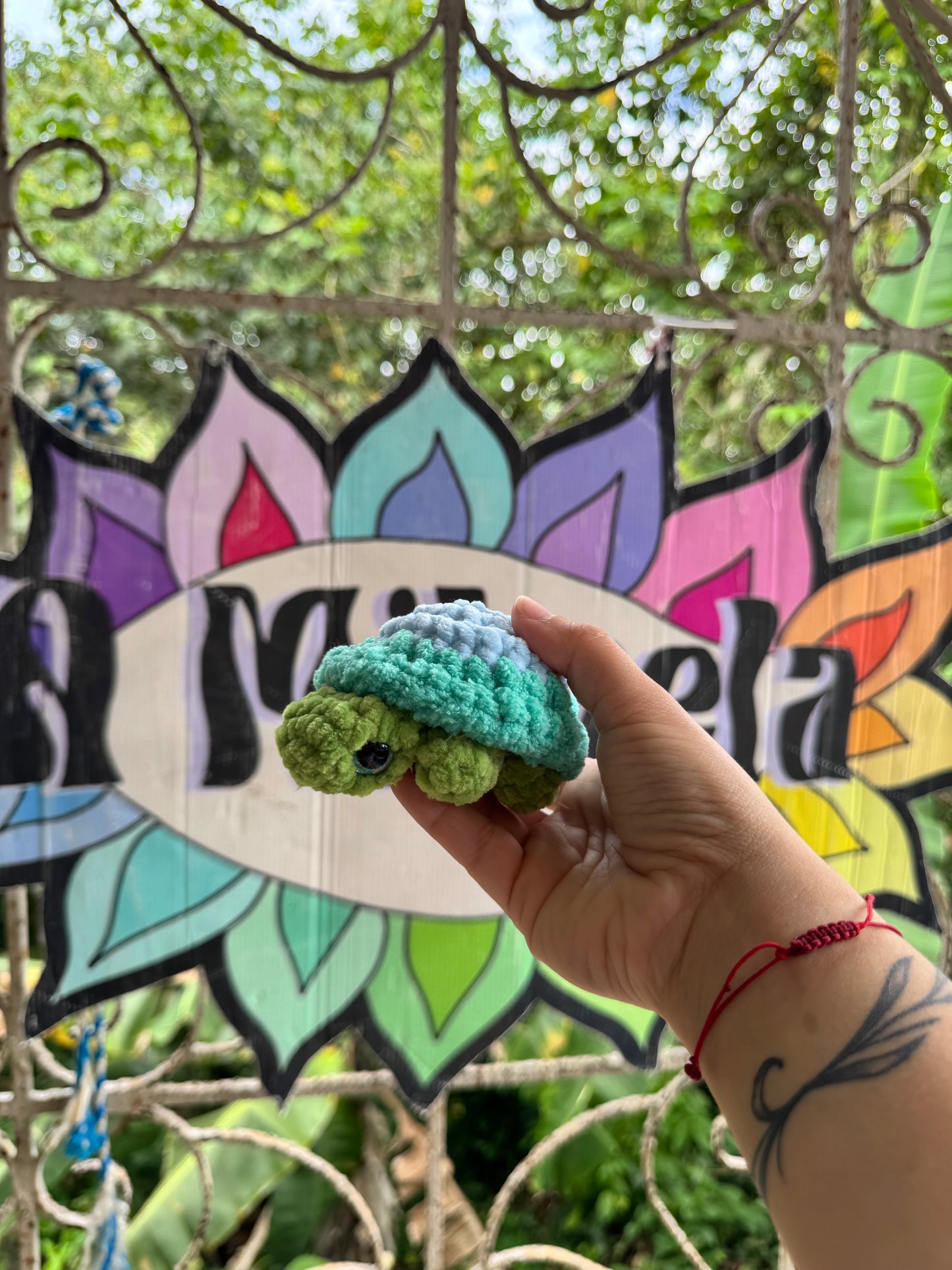Tortuga de tierra Xs