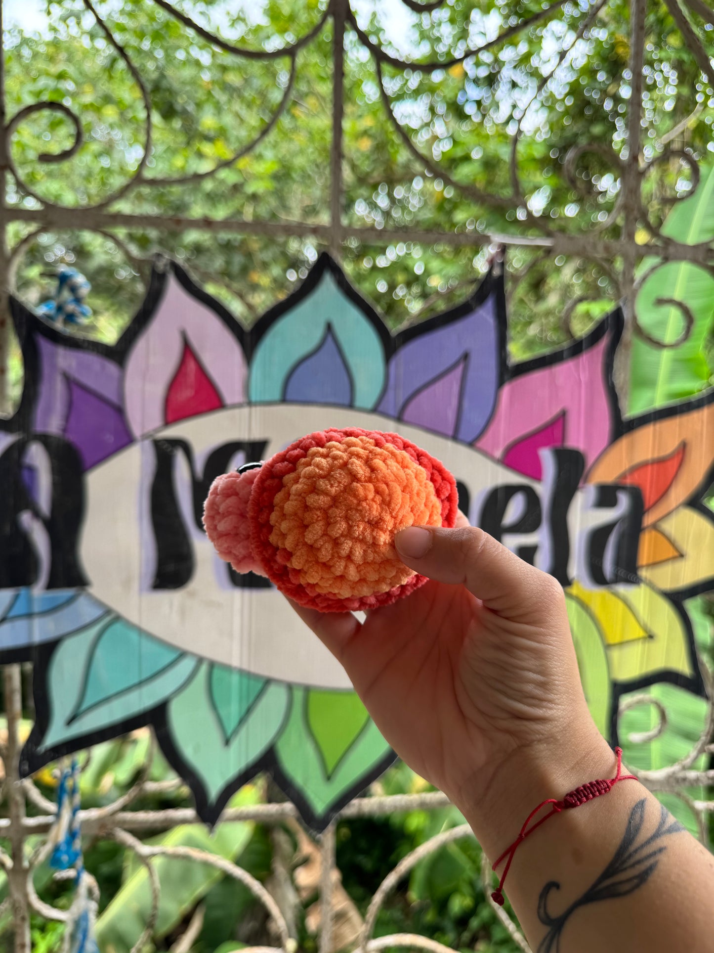 Tortuga de tierra Xs