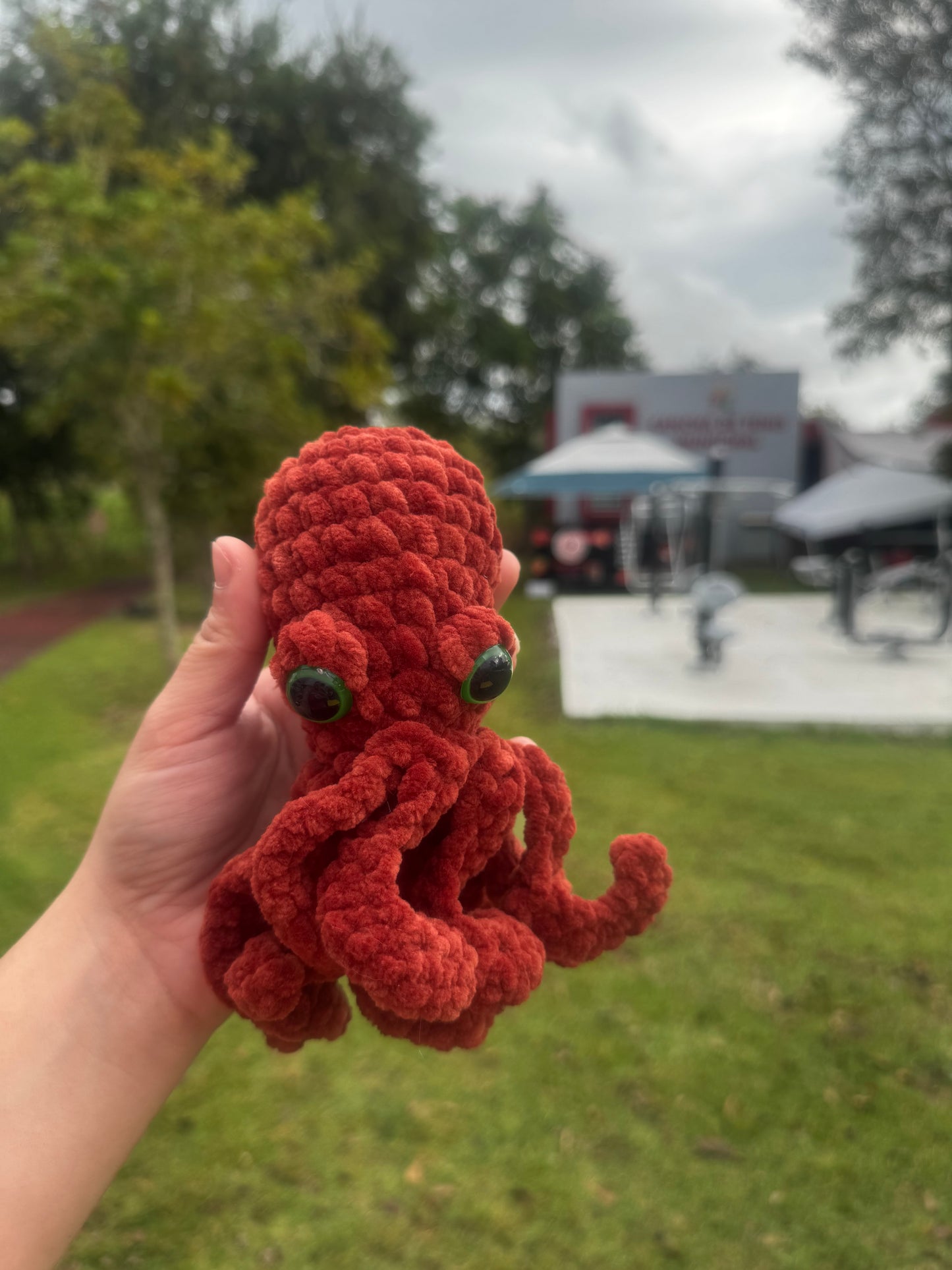 Pulpo