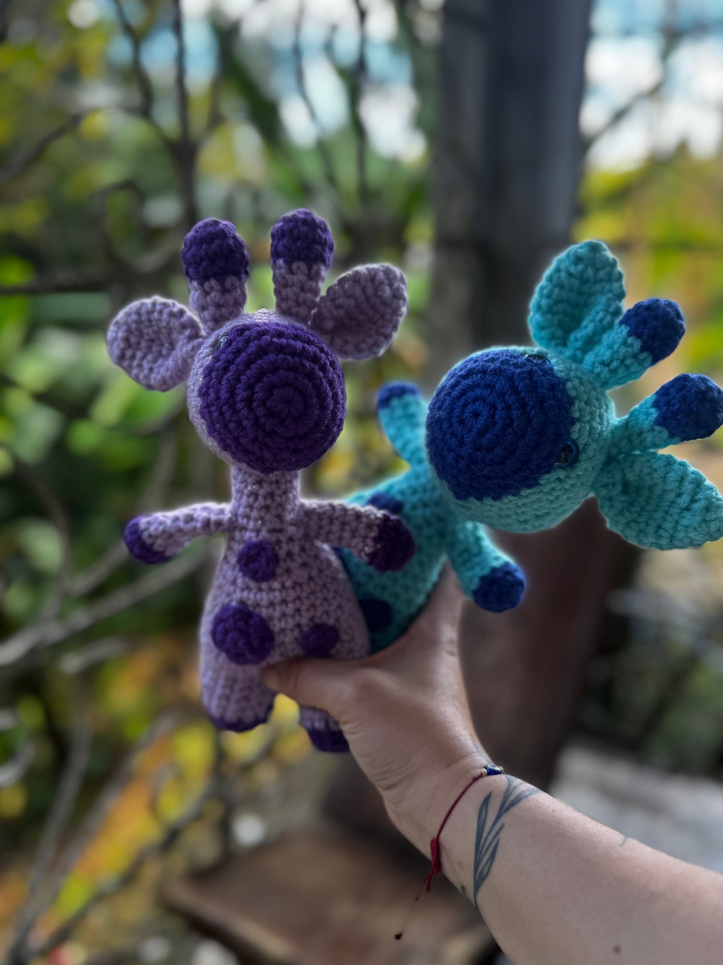 Girafa