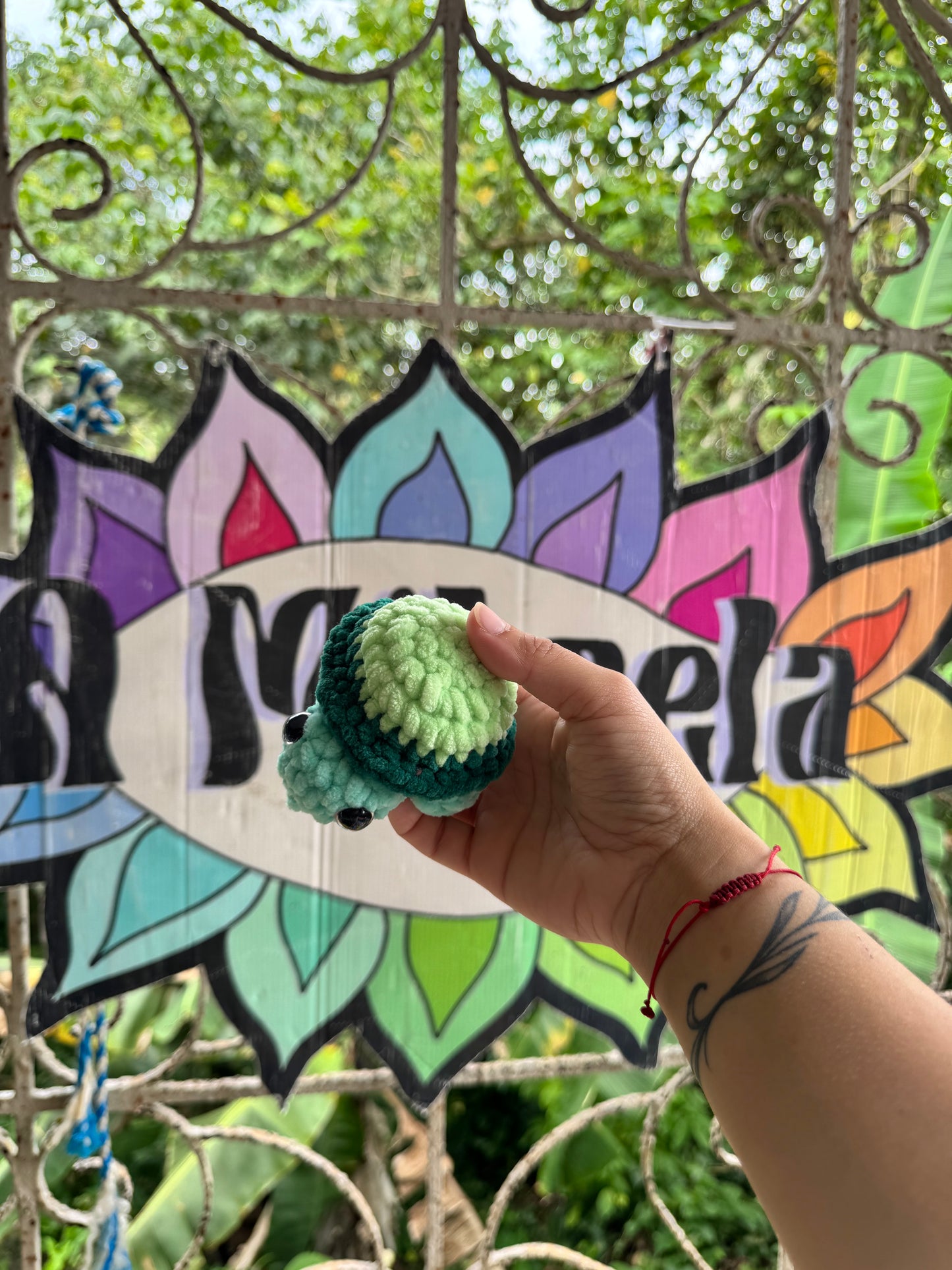 Tortuga de tierra Xs