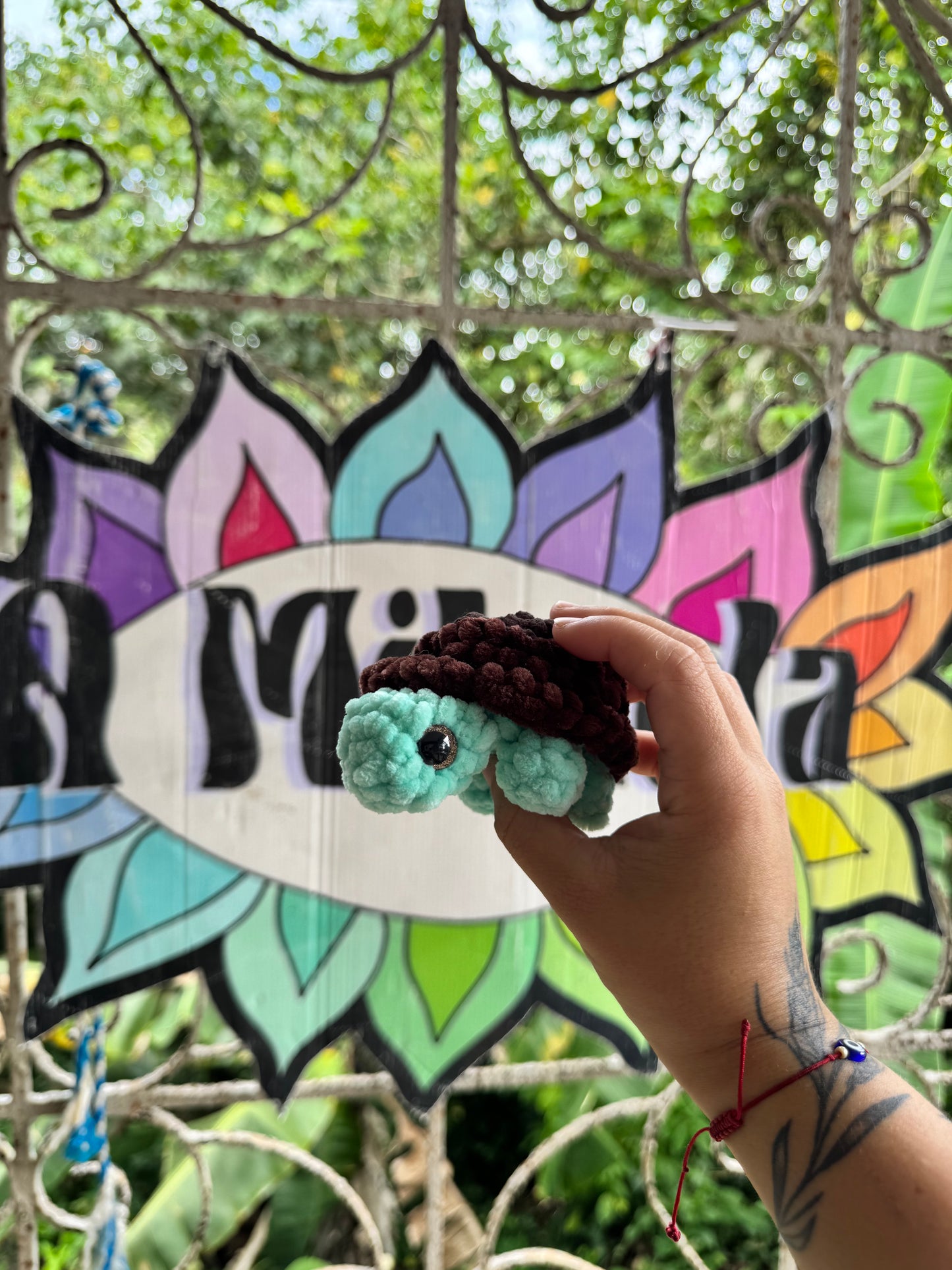 Tortuga de tierra Xs