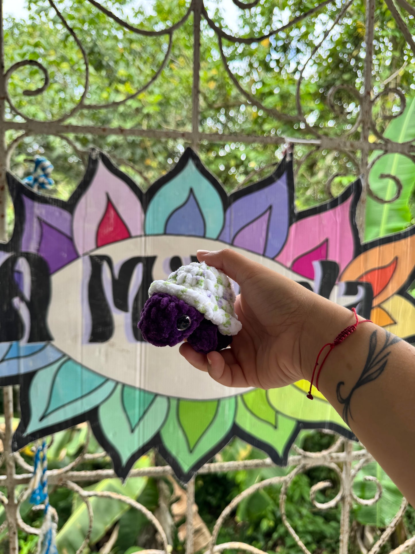 Tortuga de tierra Xs