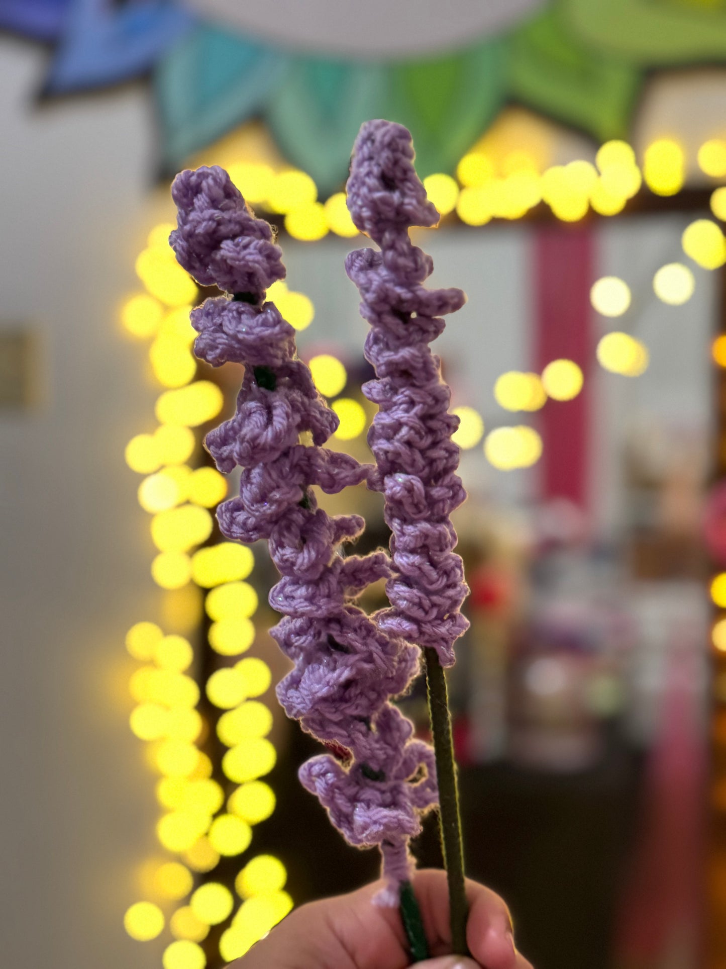 Lavanda