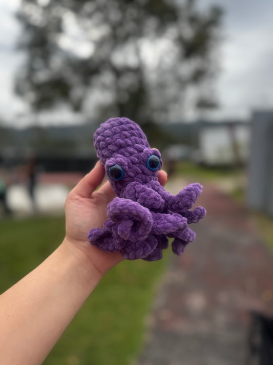 Pulpo
