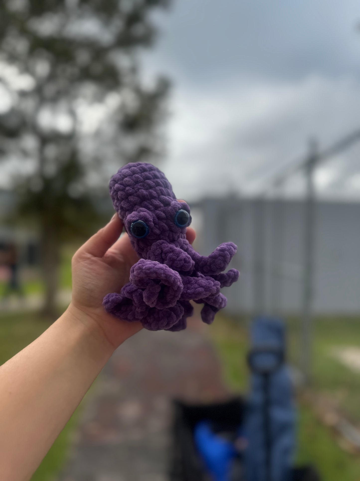 Pulpo