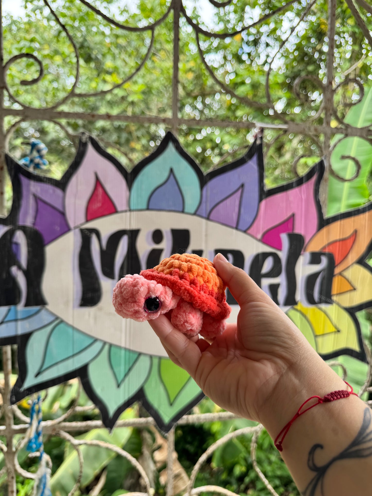 Tortuga de tierra Xs
