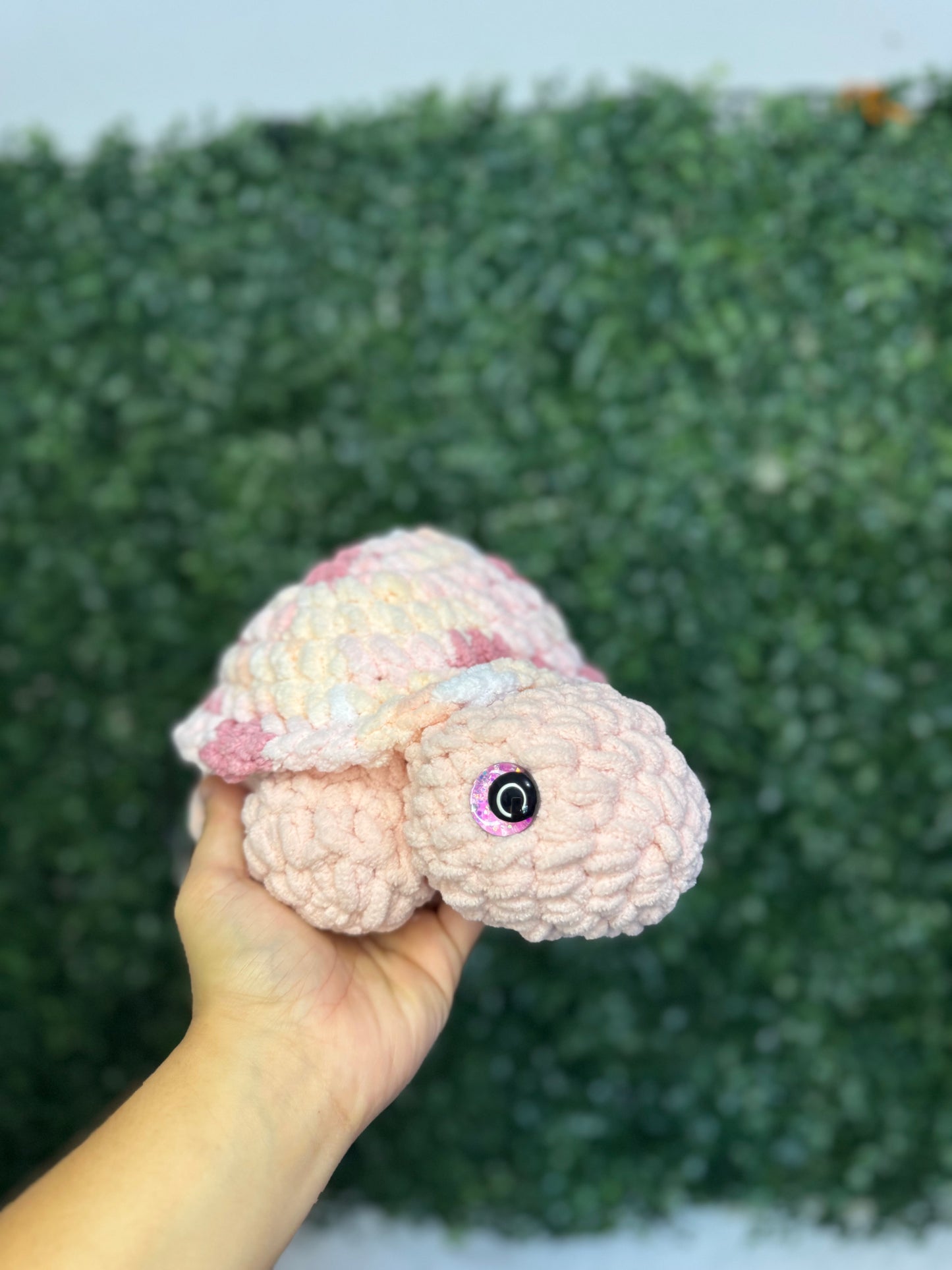 Tortuga de tierra