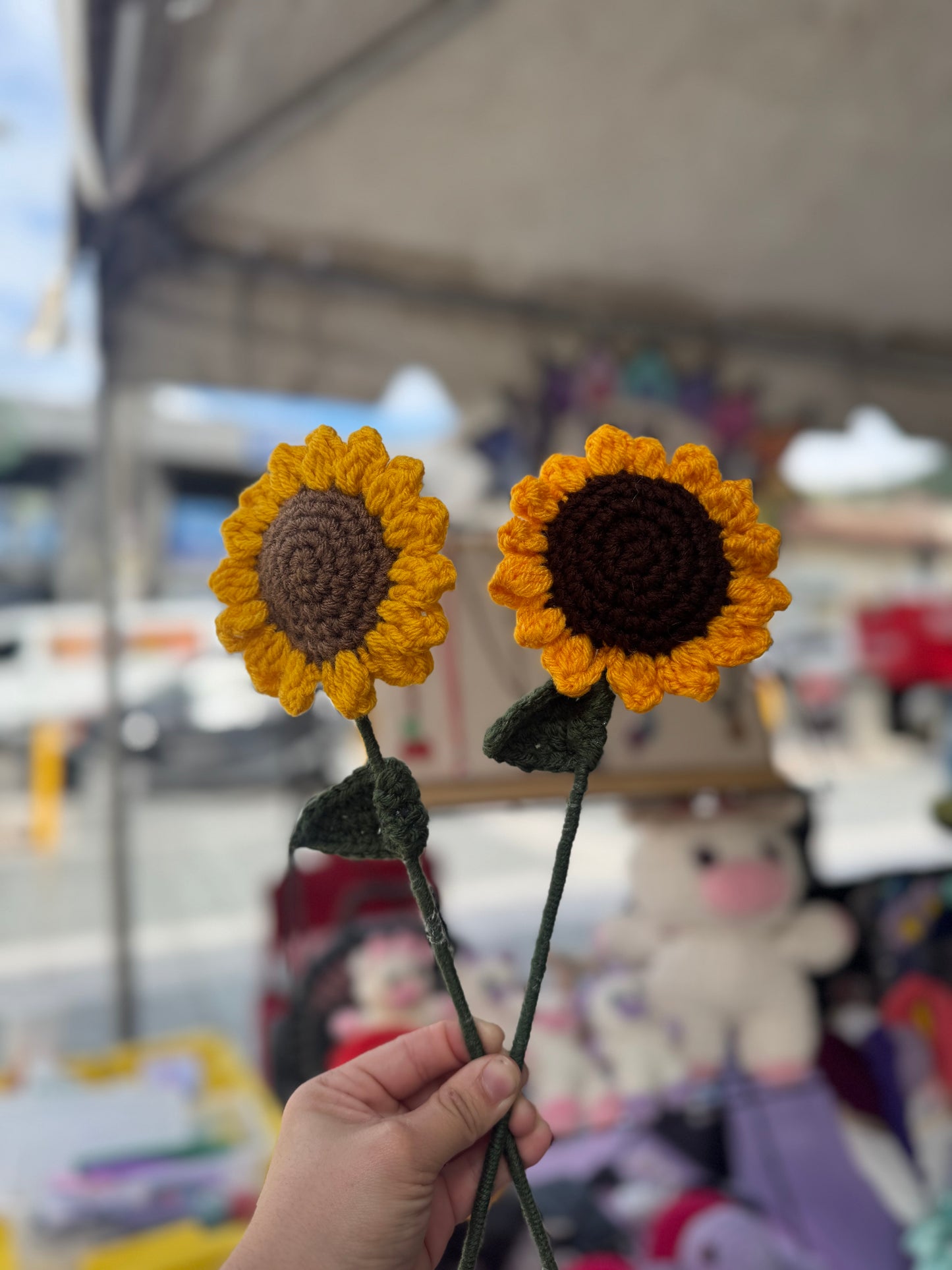 Girasol