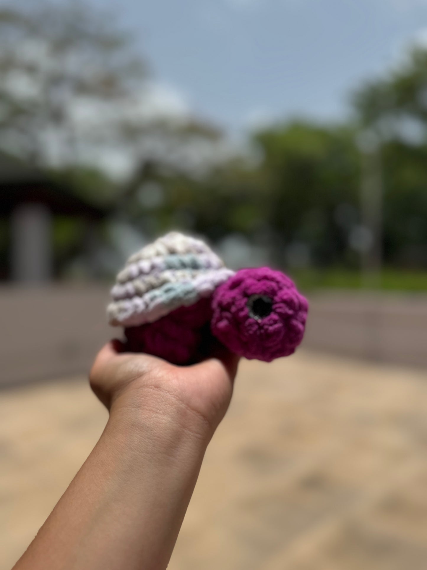 Tortuga de tierra