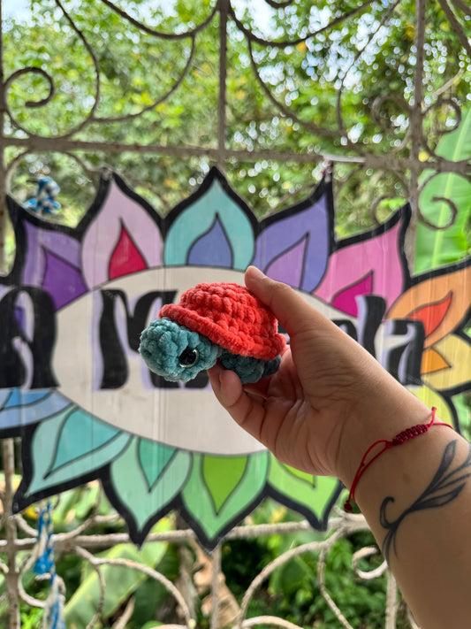 Tortuga de tierra Xs
