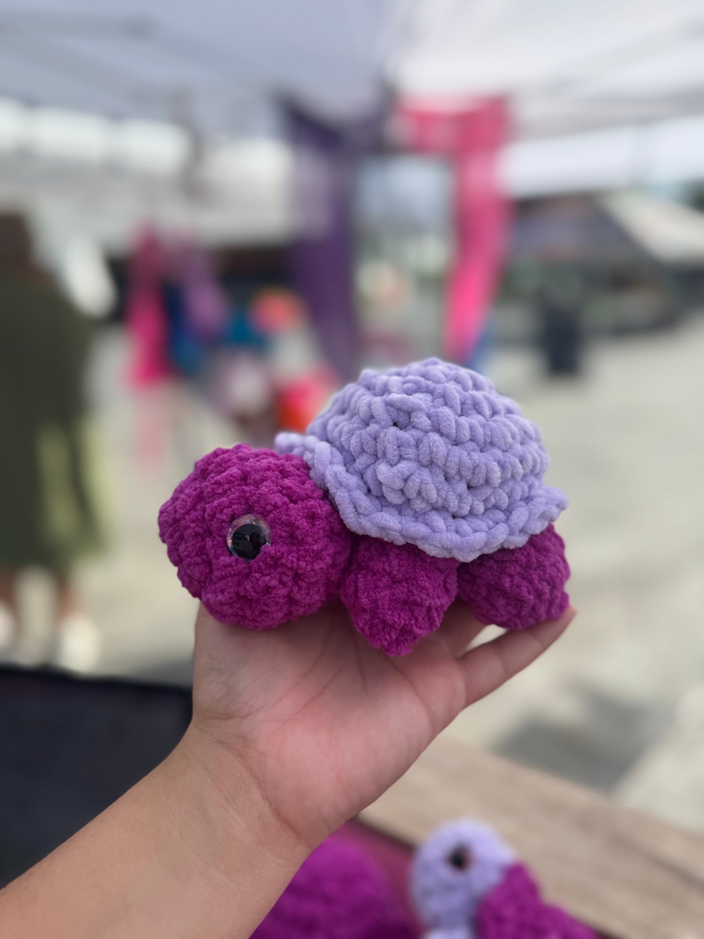 Tortuga de tierra