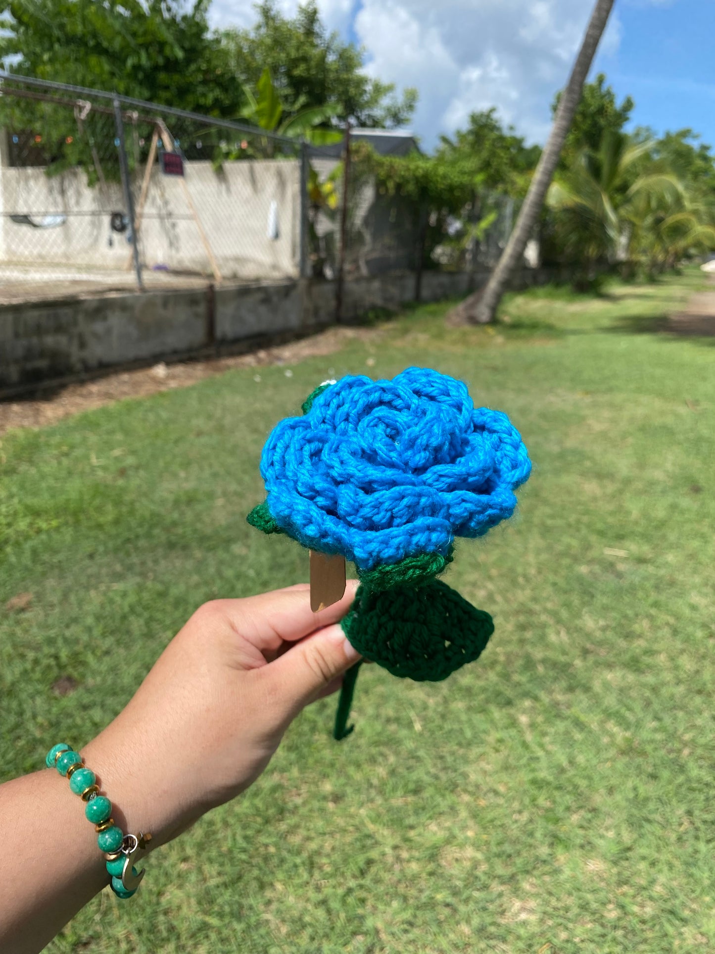 Rosas