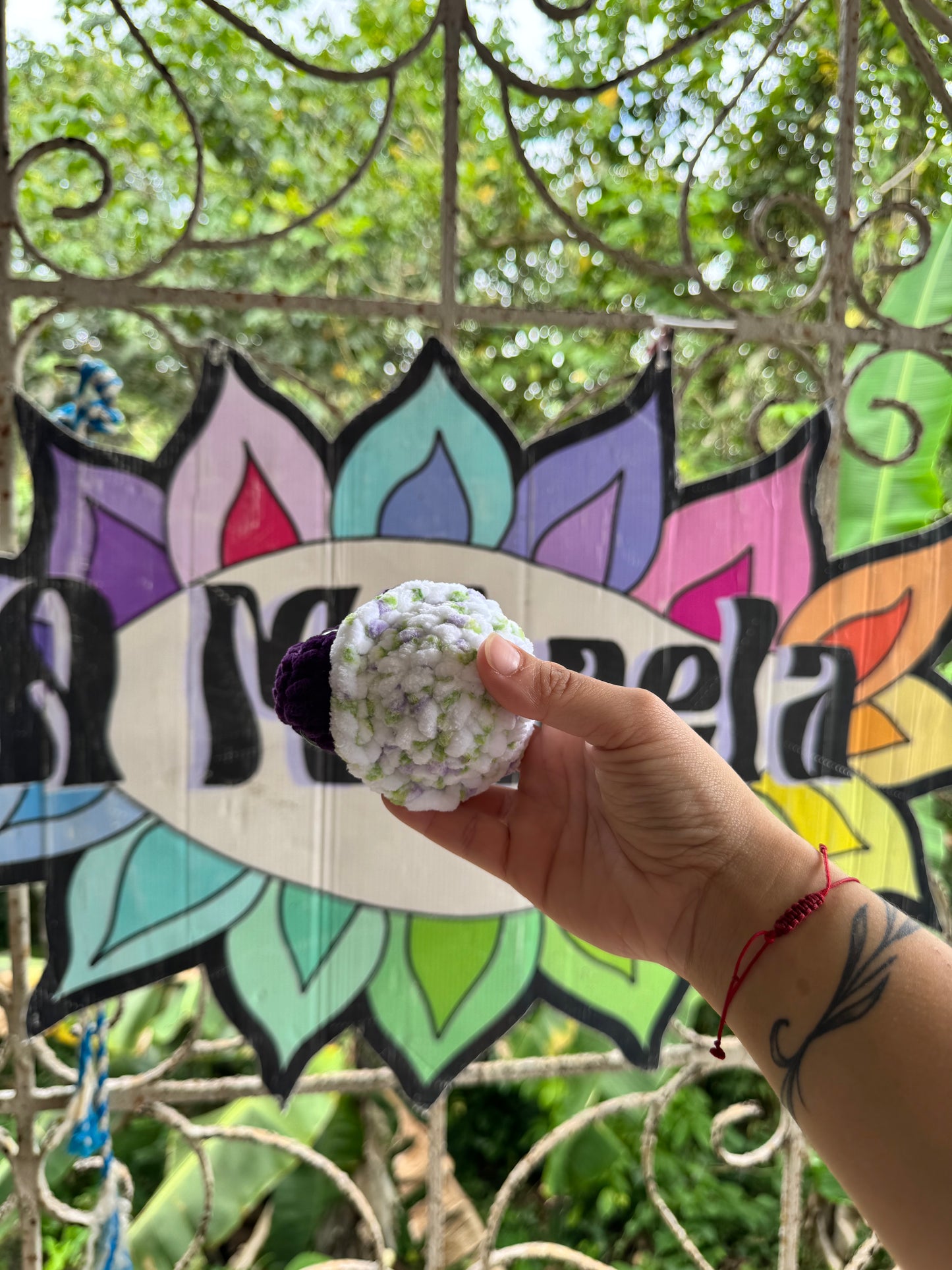 Tortuga de tierra Xs
