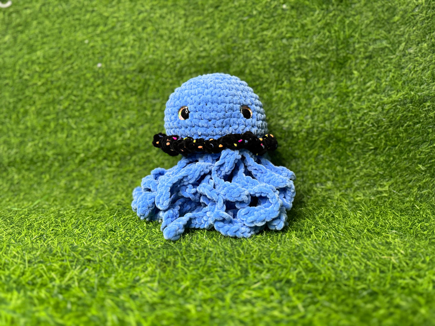 Jellyfish