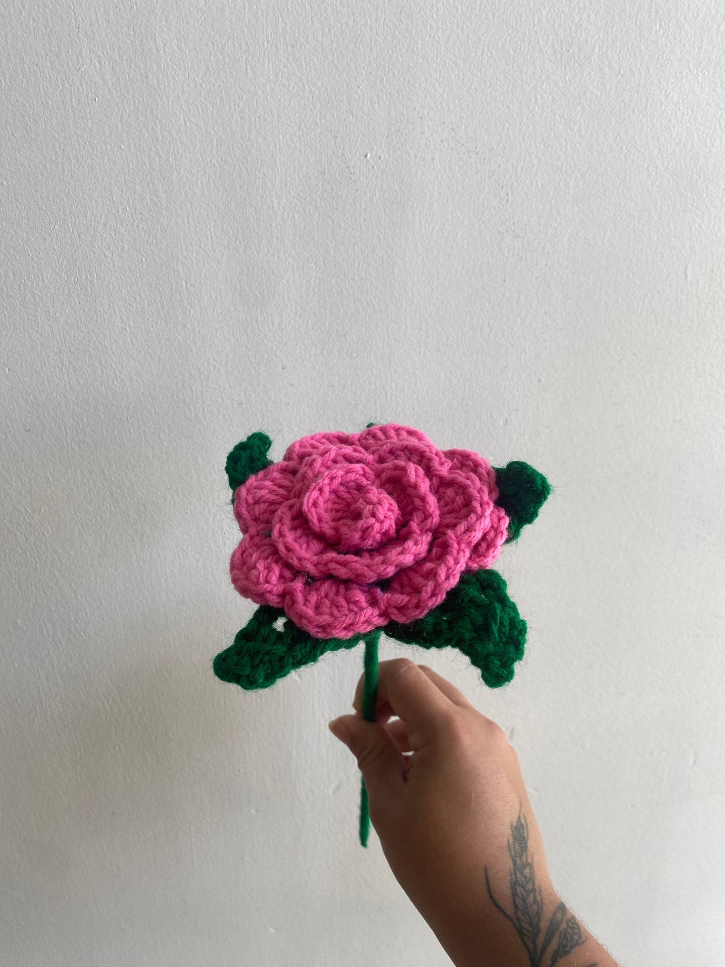 Rosas