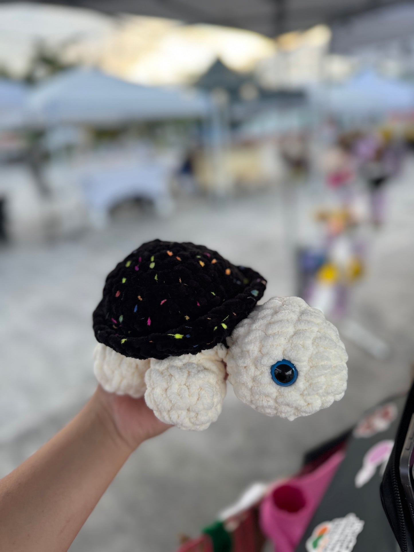 Tortuga de tierra