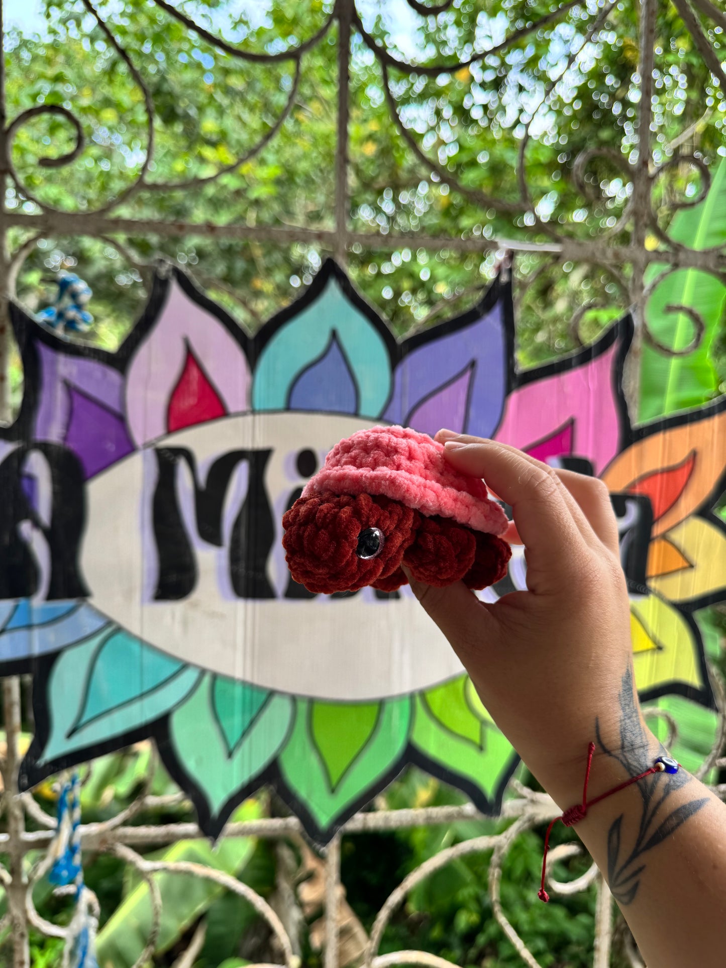 Tortuga de tierra Xs
