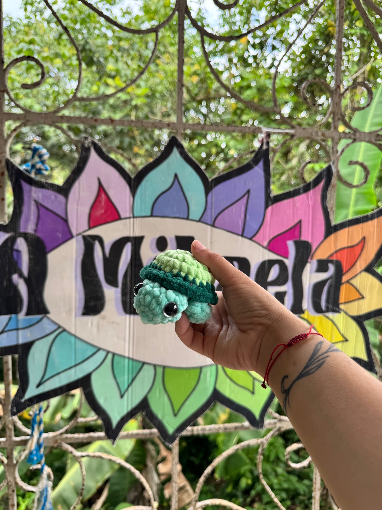 Tortuga de tierra Xs