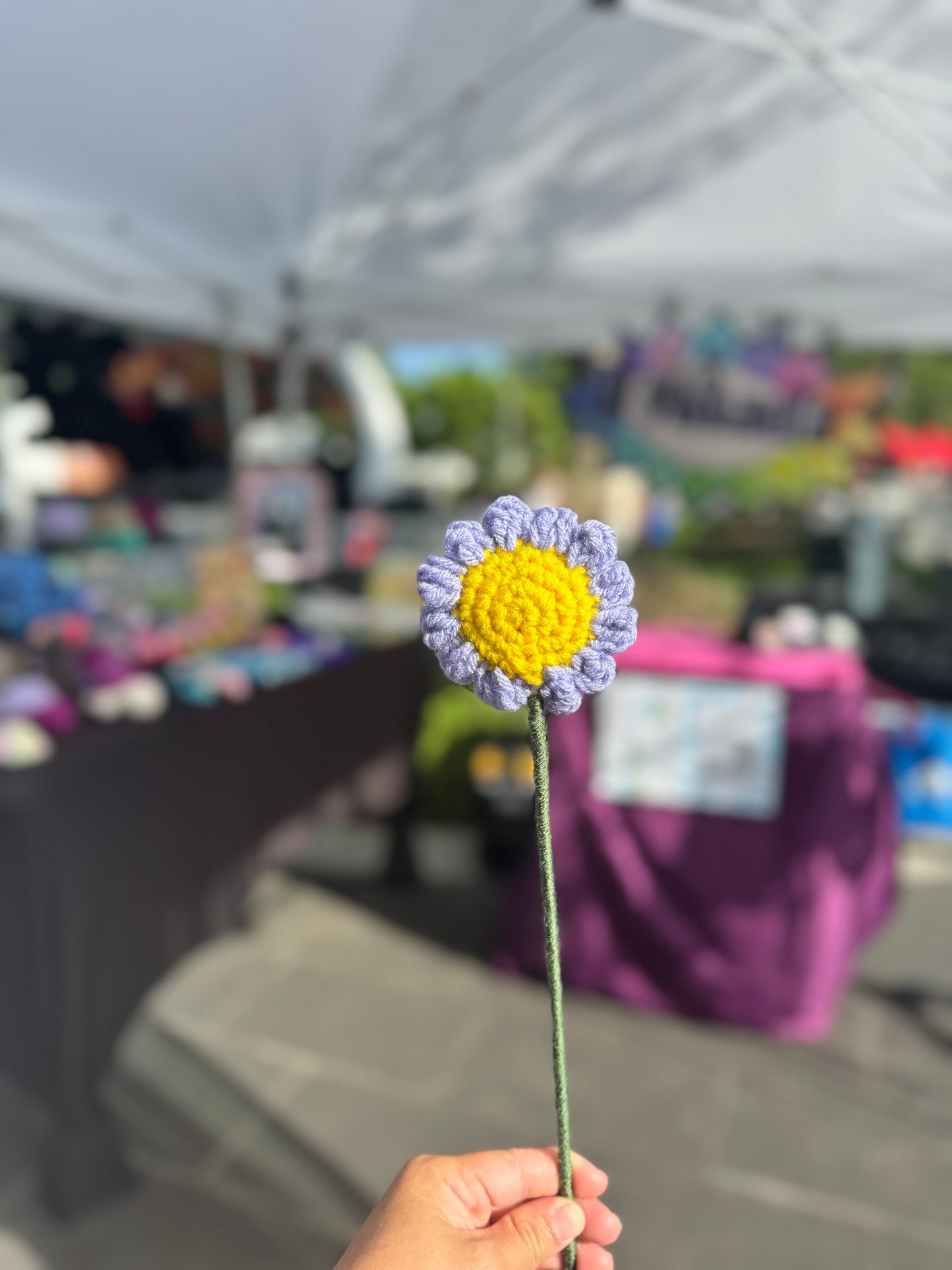 Daisy
