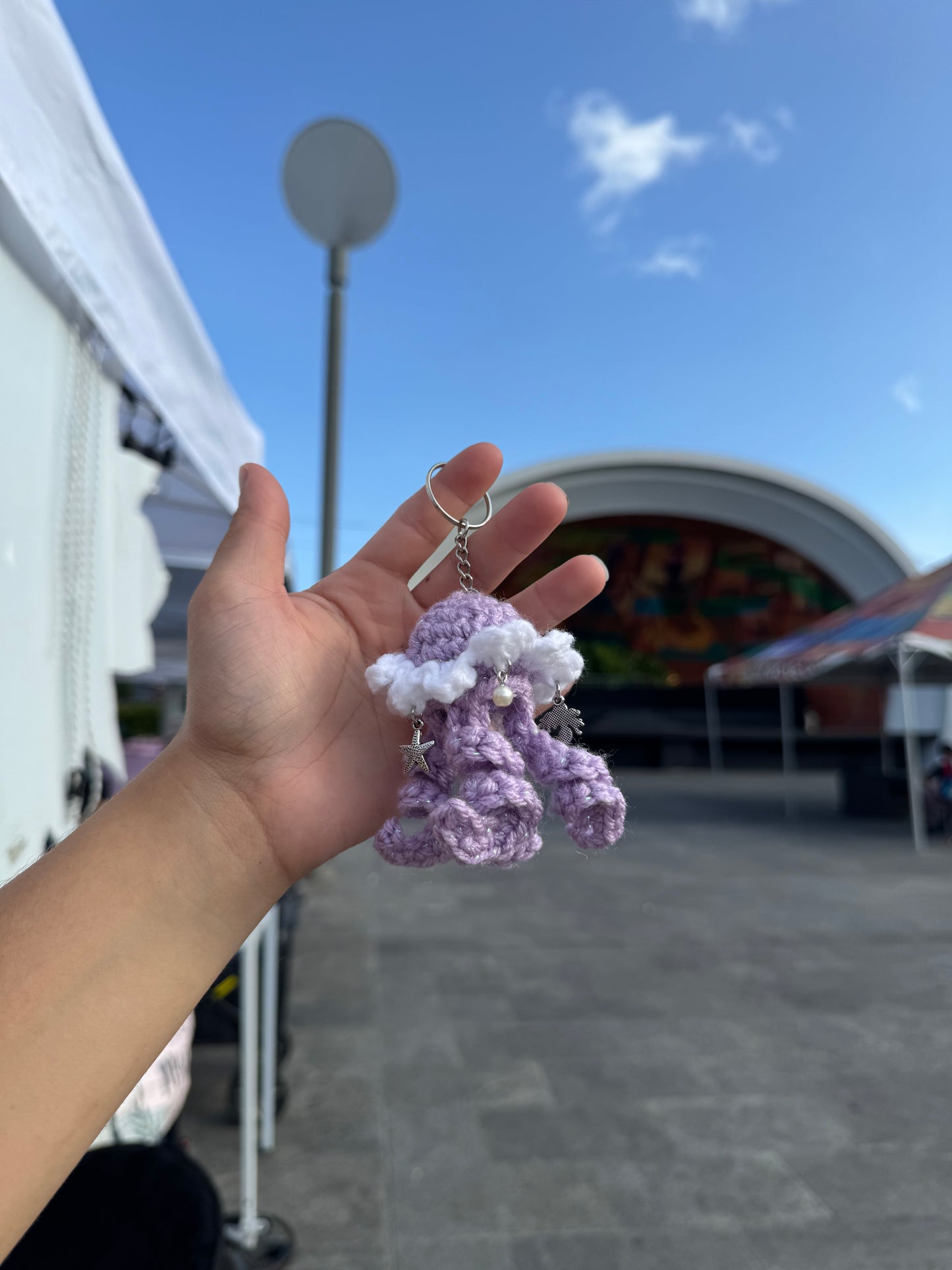 Jellyfish
